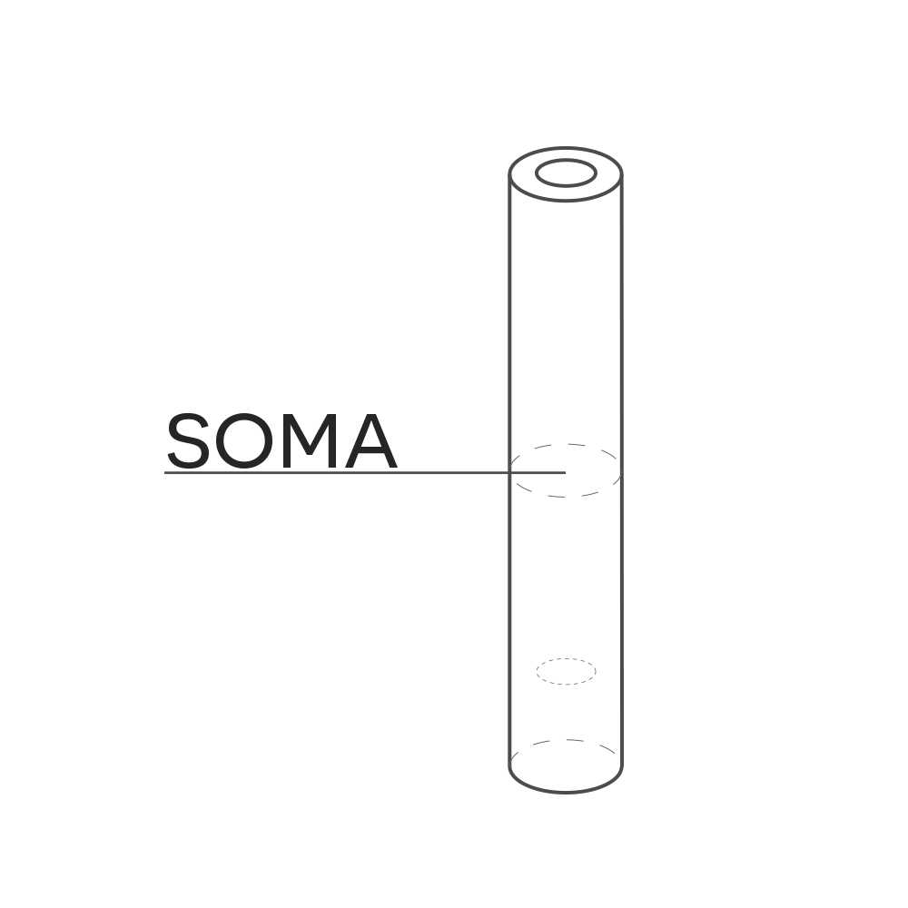 SOMA